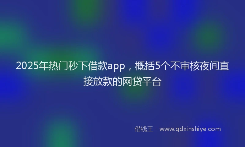 2025年热门秒下借款app，概括5个不审核夜间直接放款的网贷平台
