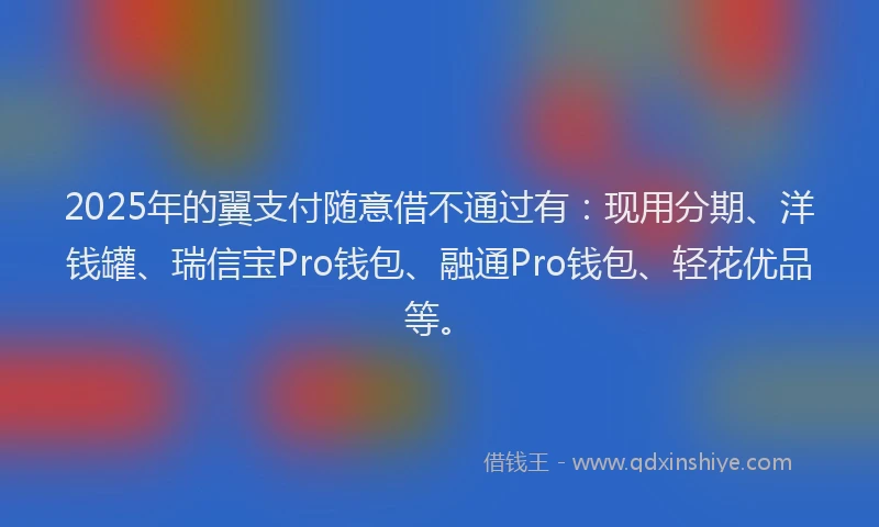 2025年的翼支付随意借不通过有：现用分期、洋钱罐、瑞信宝Pro钱包、融通Pro钱包、轻花优品等。