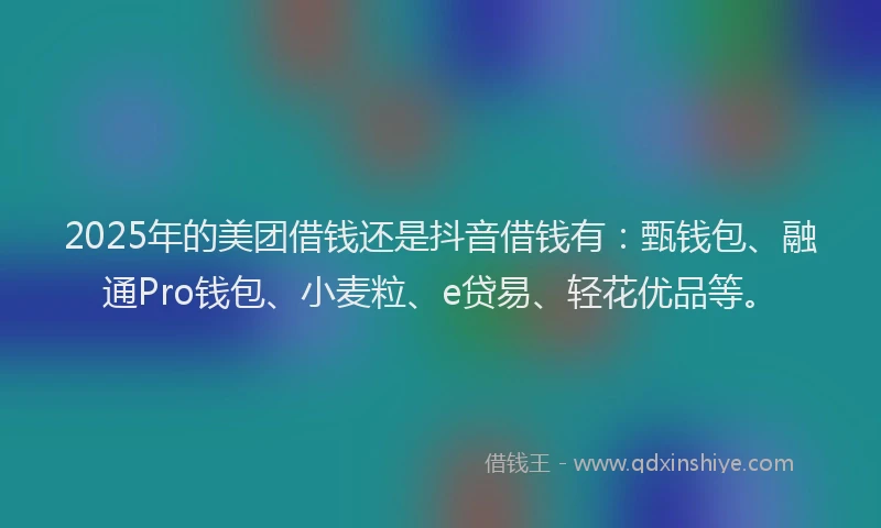2025年的美团借钱还是抖音借钱有：甄钱包、融通Pro钱包、小麦粒、e贷易、轻花优品等。
