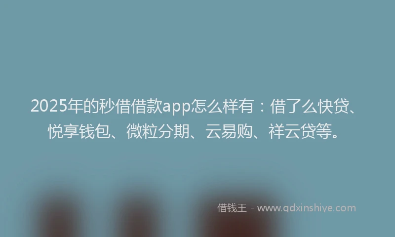 2025年的秒借借款app怎么样有：借了么快贷、悦享钱包、微粒分期、云易购、祥云贷等。