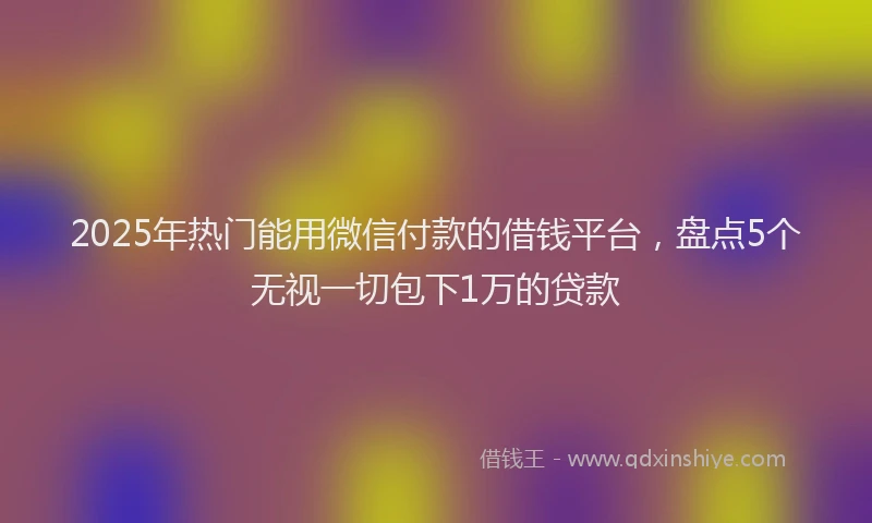 2025年热门能用微信付款的借钱平台，盘点5个无视一切包下1万的贷款