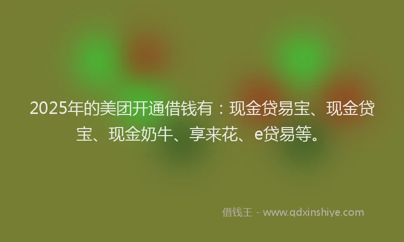 2025年的美团开通借钱有：现金贷易宝、现金贷宝、现金奶牛、享来花、e贷易等。