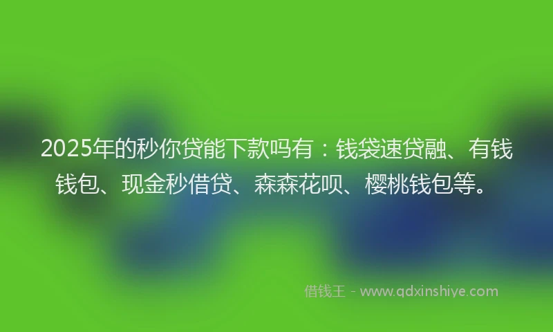 2025年的秒你贷能下款吗有：钱袋速贷融、有钱钱包、现金秒借贷、森森花呗、樱桃钱包等。