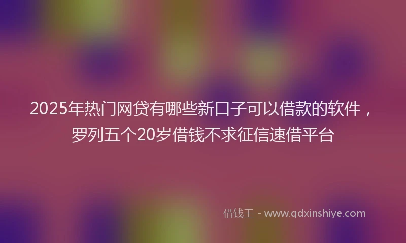 2025年热门网贷有哪些新口子可以借款的软件，罗列五个20岁借钱不求征信速借平台