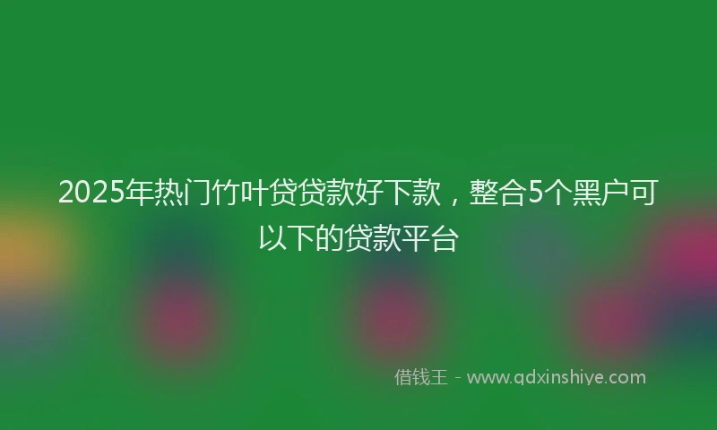 2025年热门竹叶贷贷款好下款，整合5个黑户可以下的贷款平台