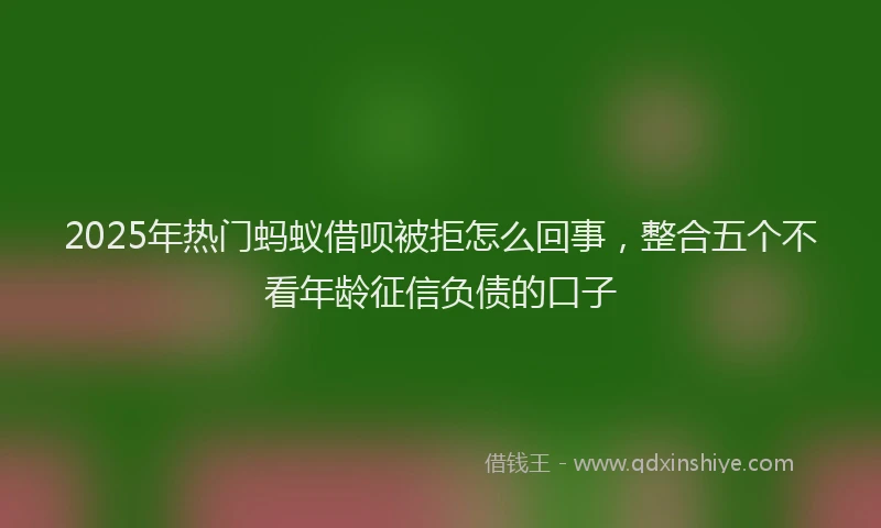 2025年热门蚂蚁借呗被拒怎么回事，整合五个不看年龄征信负债的口子