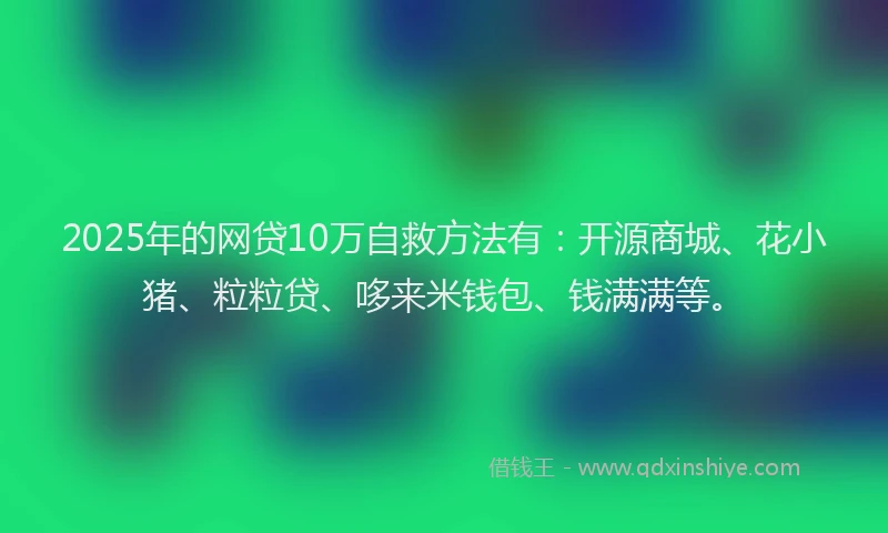 2025年的网贷10万自救方法有：开源商城、花小猪、粒粒贷、哆来米钱包、钱满满等。