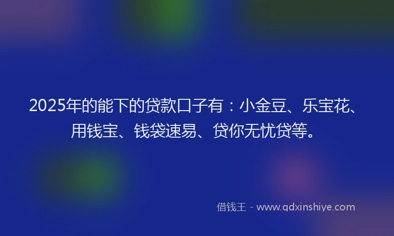 2025年的能下的贷款口子有：小金豆、乐宝花、用钱宝、钱袋速易、贷你无忧贷等。