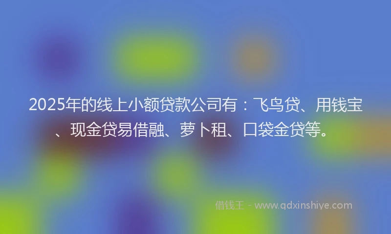 2025年的线上小额贷款公司有：飞鸟贷、用钱宝、现金贷易借融、萝卜租、口袋金贷等。