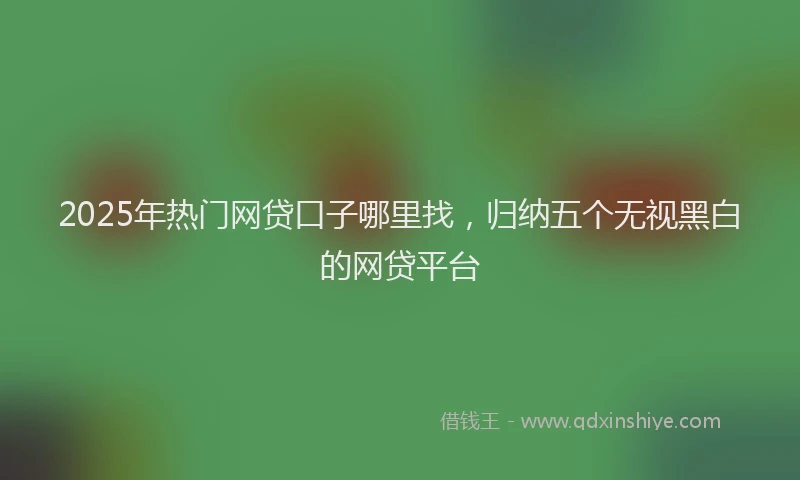 2025年热门网贷口子哪里找，归纳五个无视黑白的网贷平台