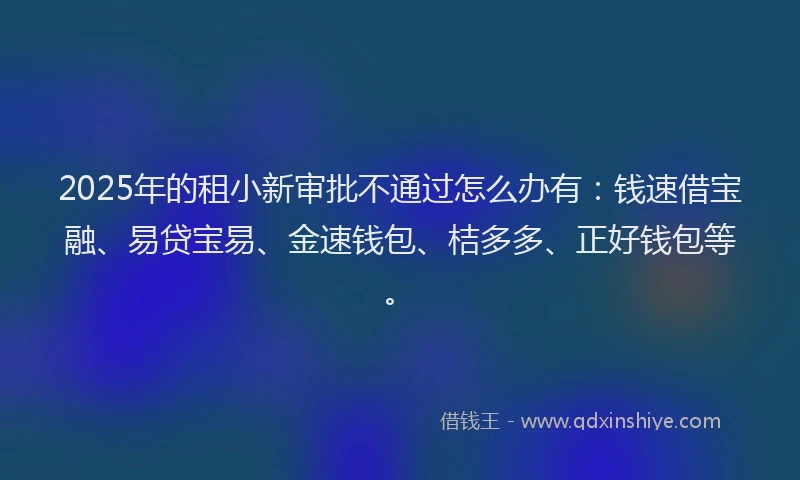 2025年的租小新审批不通过怎么办有：钱速借宝融、易贷宝易、金速钱包、桔多多、正好钱包等。