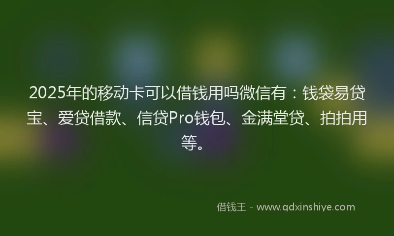 2025年的移动卡可以借钱用吗微信有：钱袋易贷宝、爱贷借款、信贷Pro钱包、金满堂贷、拍拍用等。