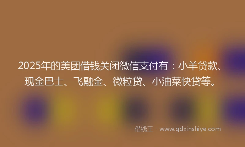 2025年的美团借钱关闭微信支付有：小羊贷款、现金巴士、飞融金、微粒贷、小油菜快贷等。
