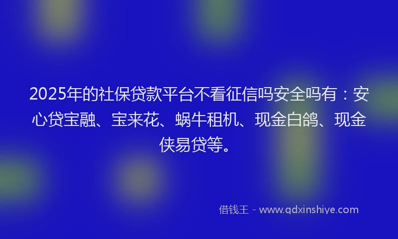 2025年的社保贷款平台不看征信吗安全吗有：安心贷宝融、宝来花、蜗牛租机、现金白鸽、现金侠易贷等。