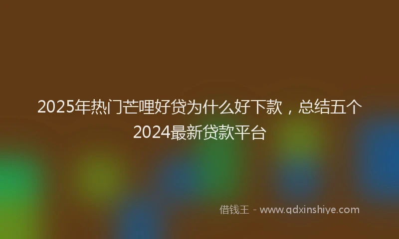 2025年热门芒哩好贷为什么好下款，总结五个2024最新贷款平台
