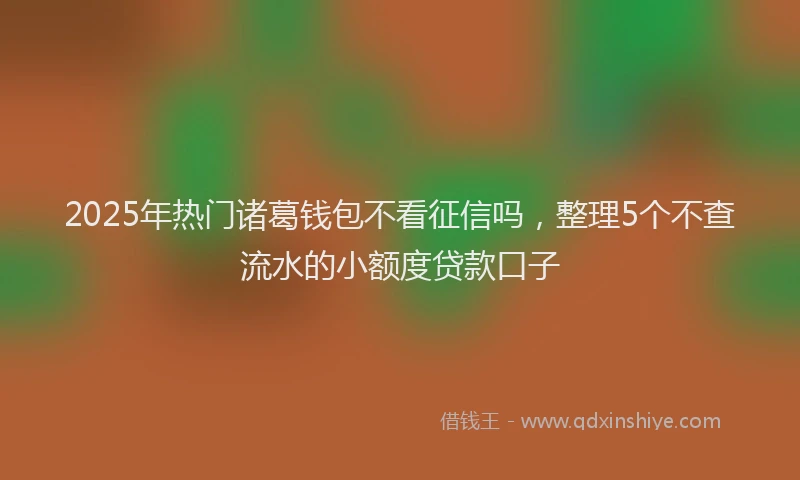 2025年热门诸葛钱包不看征信吗，整理5个不查流水的小额度贷款口子