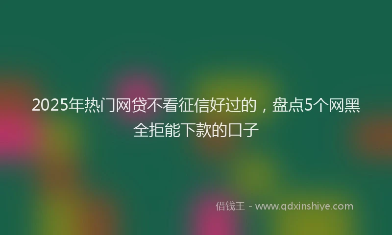 2025年热门网贷不看征信好过的，盘点5个网黑全拒能下款的口子