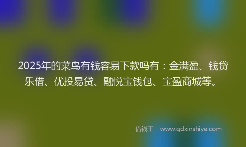 2025年的菜鸟有钱容易下款吗有：金满盈、钱贷乐借、优投易贷、融悦宝钱包、宝盈商城等。
