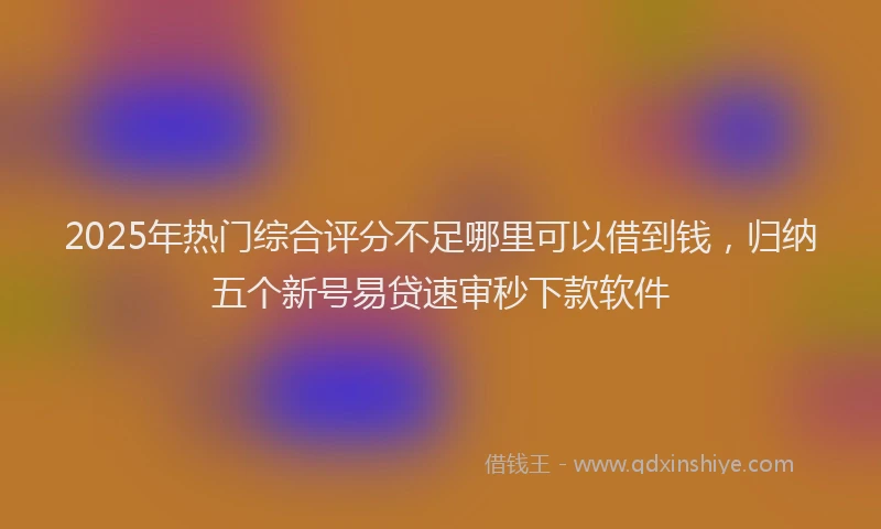 2025年热门综合评分不足哪里可以借到钱，归纳五个新号易贷速审秒下款软件