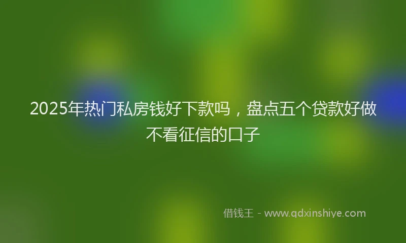 2025年热门私房钱好下款吗，盘点五个贷款好做不看征信的口子