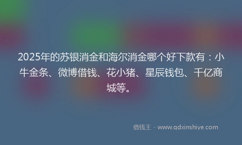 2025年的苏银消金和海尔消金哪个好下款有：小牛金条、微博借钱、花小猪、星辰钱包、千亿商城等。