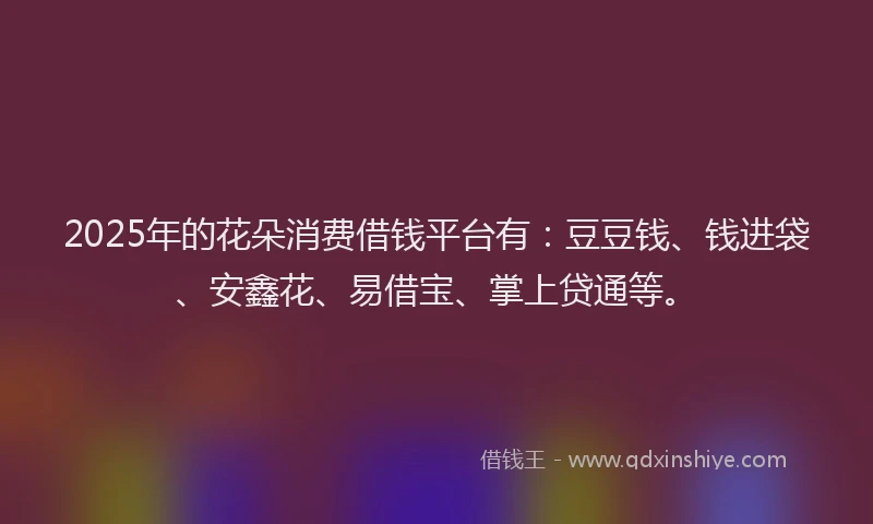 2025年的花朵消费借钱平台有：豆豆钱、钱进袋、安鑫花、易借宝、掌上贷通等。