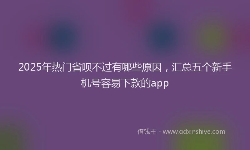 2025年热门省呗不过有哪些原因，汇总五个新手机号容易下款的app