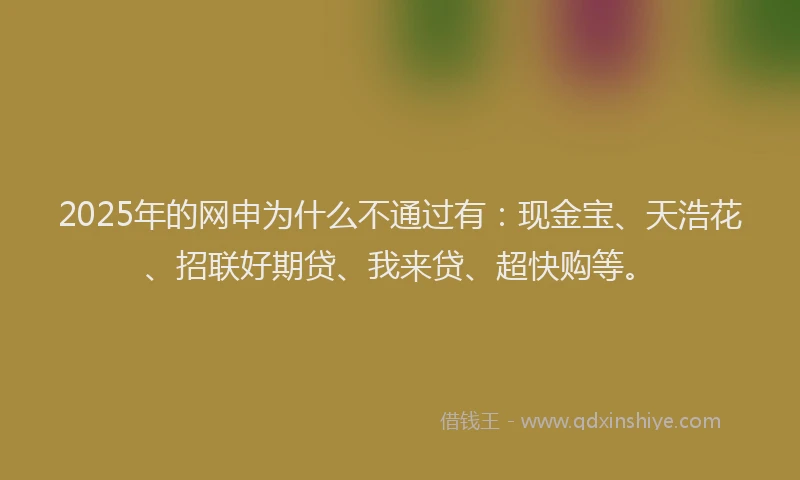 2025年的网申为什么不通过有：现金宝、天浩花、招联好期贷、我来贷、超快购等。