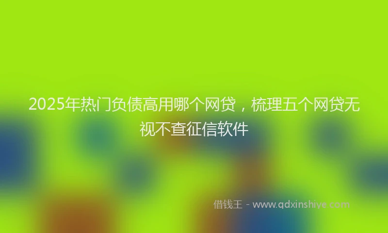 2025年热门负债高用哪个网贷，梳理五个网贷无视不查征信软件