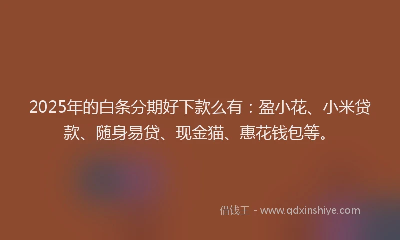 2025年的白条分期好下款么有：盈小花、小米贷款、随身易贷、现金猫、惠花钱包等。