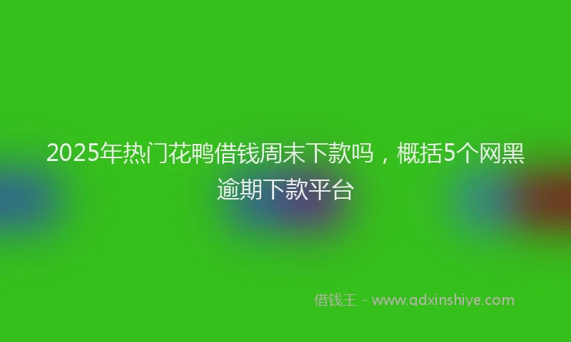 2025年热门花鸭借钱周末下款吗，概括5个网黑逾期下款平台