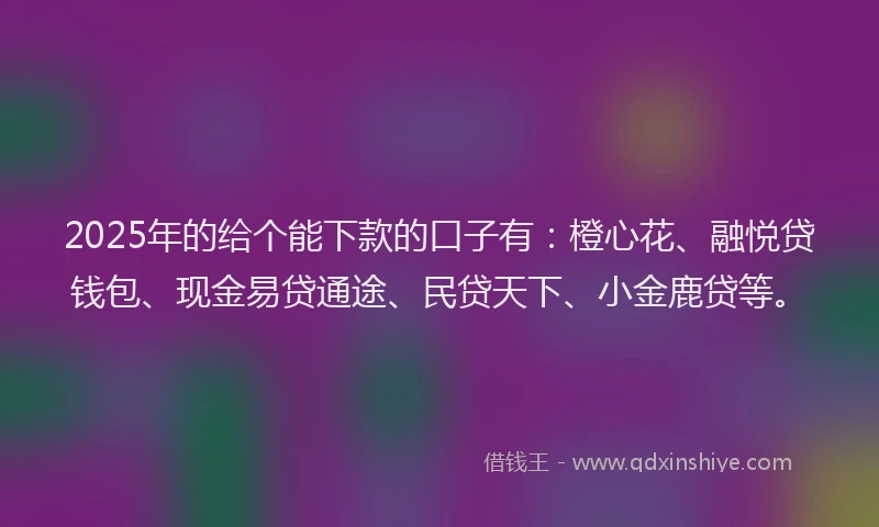 2025年的给个能下款的口子有：橙心花、融悦贷钱包、现金易贷通途、民贷天下、小金鹿贷等。