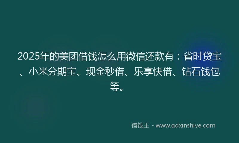 2025年的美团借钱怎么用微信还款有：省时贷宝、小米分期宝、现金秒借、乐享快借、钻石钱包等。