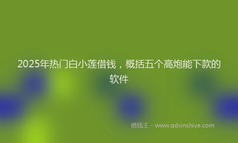 2025年热门白小莲借钱，概括五个高炮能下款的软件