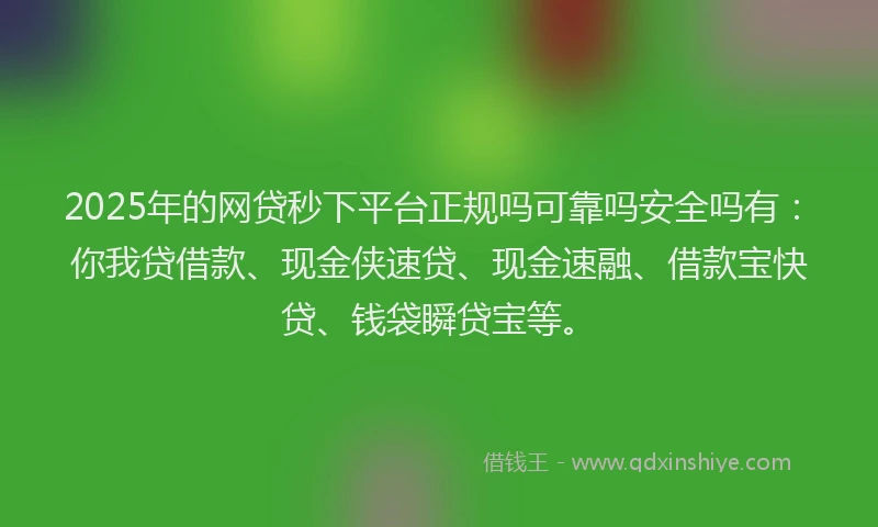 2025年的网贷秒下平台正规吗可靠吗安全吗有：你我贷借款、现金侠速贷、现金速融、借款宝快贷、钱袋瞬贷宝等。