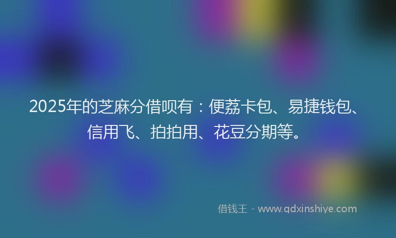 2025年的芝麻分借呗有：便荔卡包、易捷钱包、信用飞、拍拍用、花豆分期等。