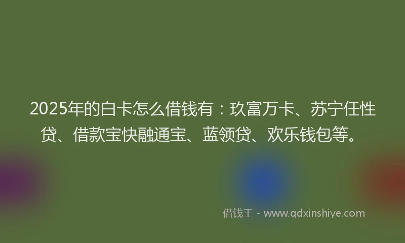2025年的白卡怎么借钱有：玖富万卡、苏宁任性贷、借款宝快融通宝、蓝领贷、欢乐钱包等。