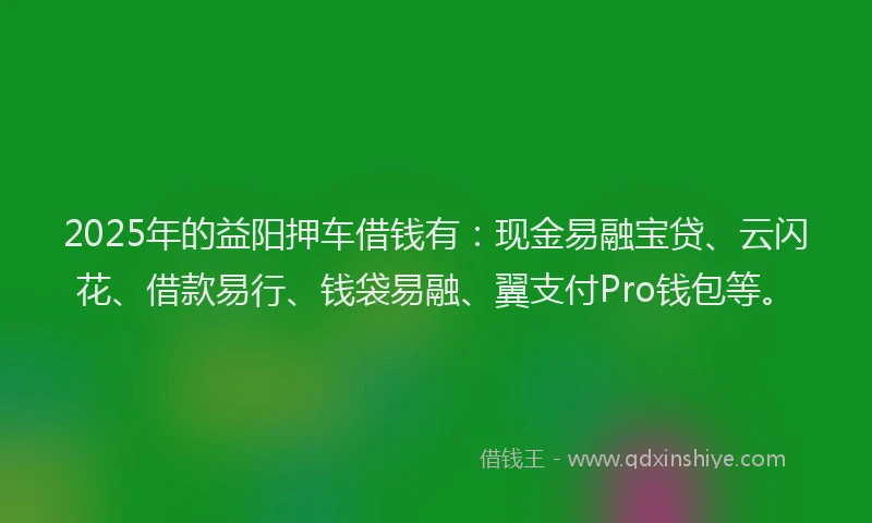 2025年的益阳押车借钱有：现金易融宝贷、云闪花、借款易行、钱袋易融、翼支付Pro钱包等。