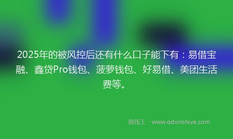 2025年的被风控后还有什么口子能下有：易借宝融、鑫贷Pro钱包、菠萝钱包、好易借、美团生活费等。