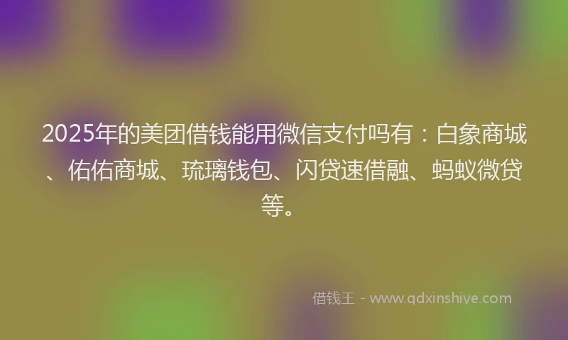 2025年的美团借钱能用微信支付吗有：白象商城、佑佑商城、琉璃钱包、闪贷速借融、蚂蚁微贷等。