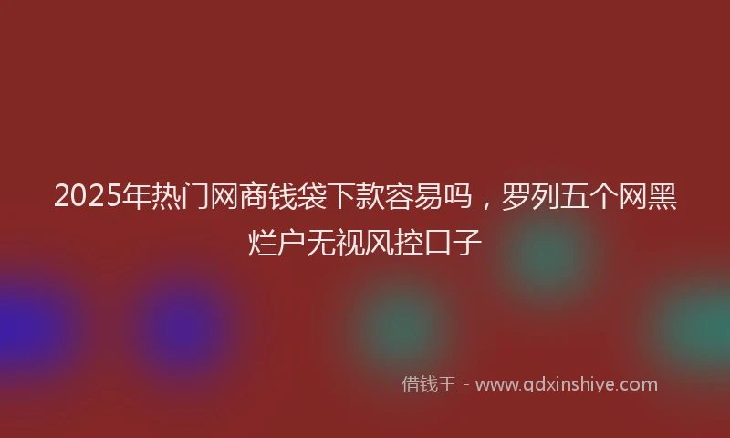 2025年热门网商钱袋下款容易吗，罗列五个网黑烂户无视风控口子