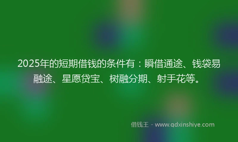 2025年的短期借钱的条件有：瞬借通途、钱袋易融途、星愿贷宝、树融分期、射手花等。