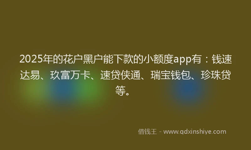 2025年的花户黑户能下款的小额度app有：钱速达易、玖富万卡、速贷侠通、瑞宝钱包、珍珠贷等。