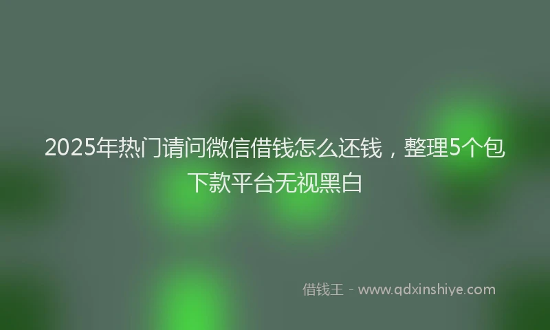 2025年热门请问微信借钱怎么还钱，整理5个包下款平台无视黑白