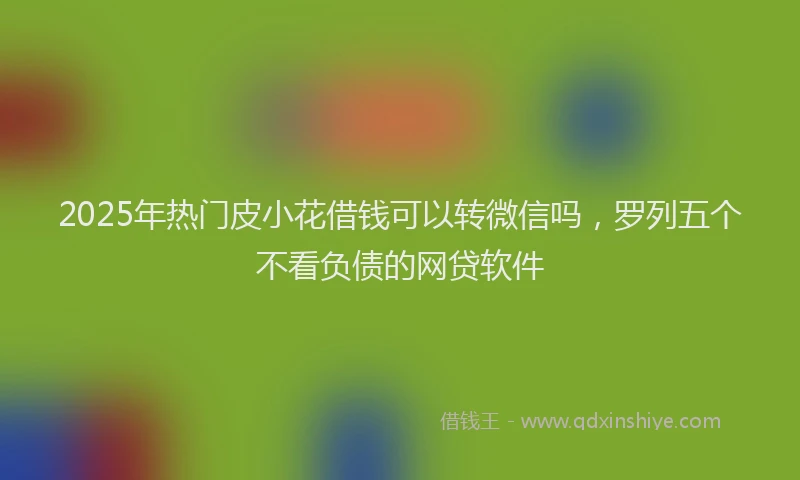 2025年热门皮小花借钱可以转微信吗，罗列五个不看负债的网贷软件