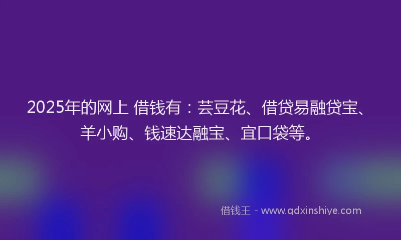 2025年的网上 借钱有：芸豆花、借贷易融贷宝、羊小购、钱速达融宝、宜口袋等。