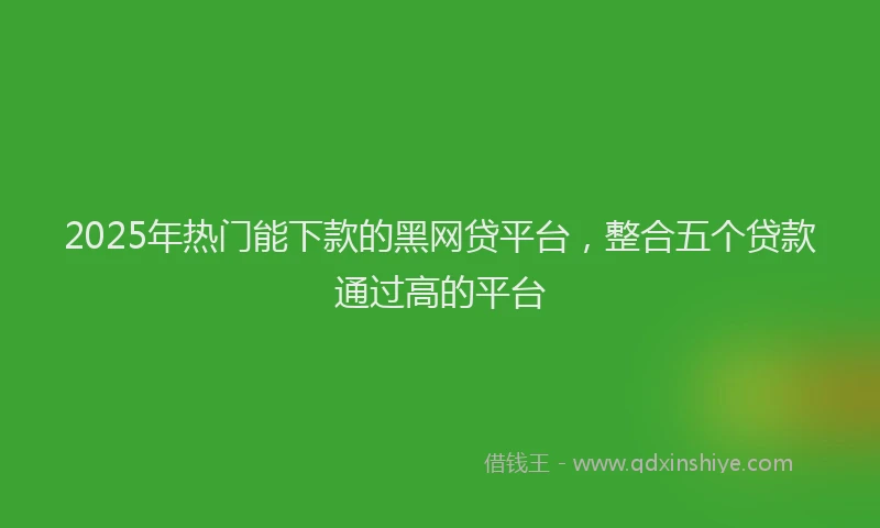 2025年热门能下款的黑网贷平台，整合五个贷款通过高的平台