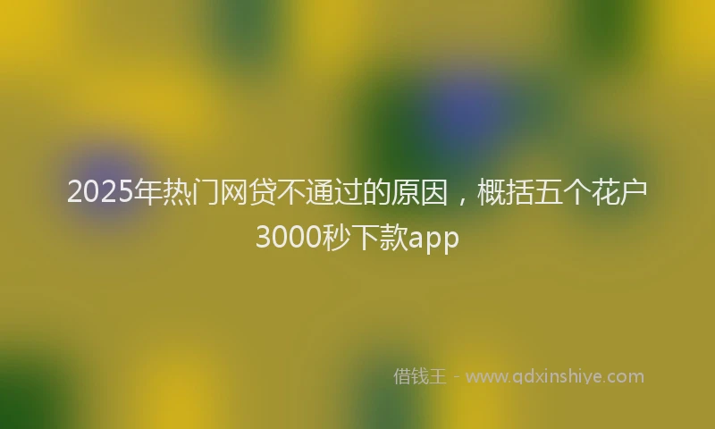 2025年热门网贷不通过的原因，概括五个花户3000秒下款app