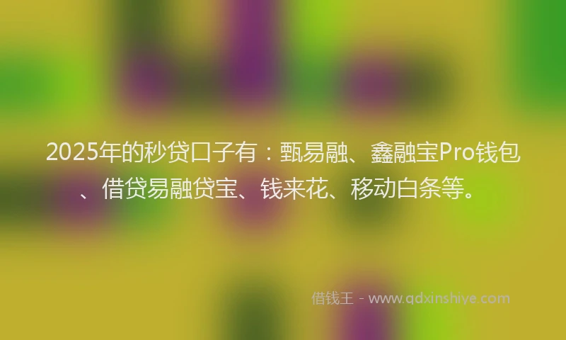 2025年的秒贷口子有：甄易融、鑫融宝Pro钱包、借贷易融贷宝、钱来花、移动白条等。
