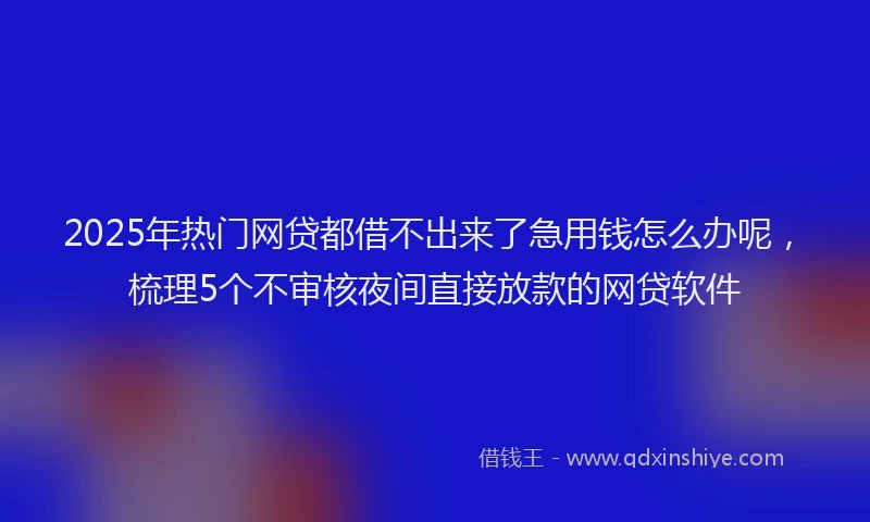 2025年热门网贷都借不出来了急用钱怎么办呢，梳理5个不审核夜间直接放款的网贷软件
